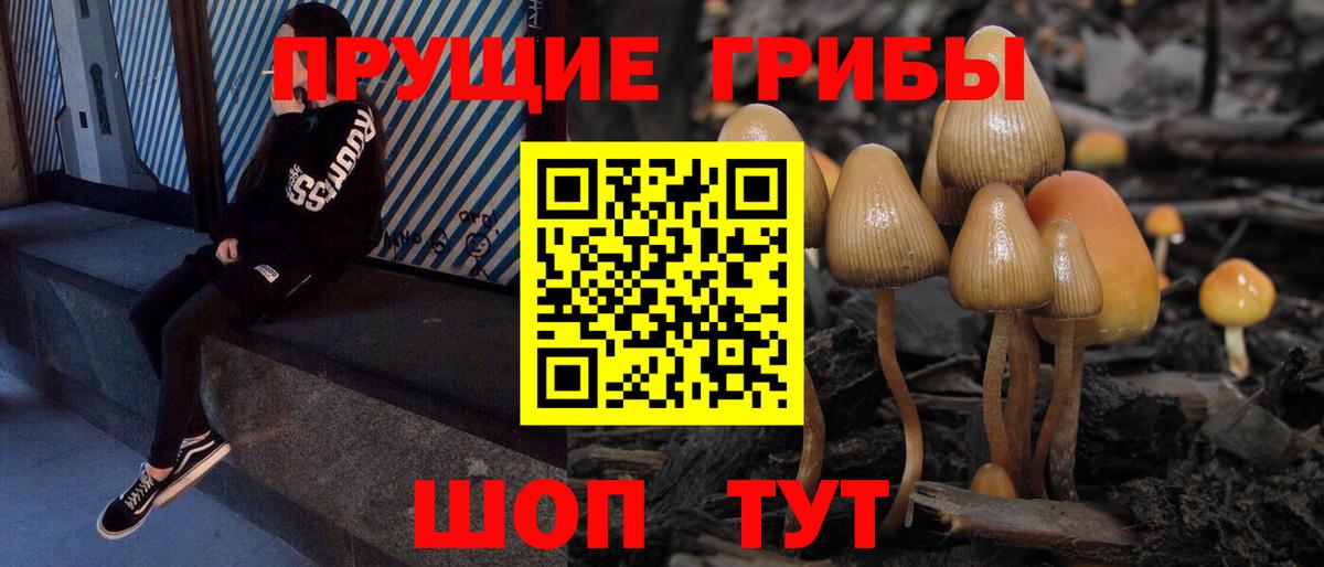 Галлюциногенные грибы мицелий  Вход с VPN  Галлюциногенные грибы прущие грибы  Азнакаево 